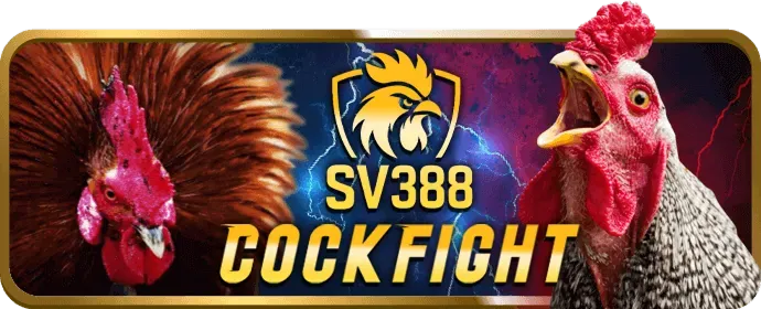 Giải thích Cookies là gì trên vip88 nhà cái